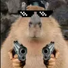 capybara_sofiii