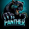 onwerpanther4