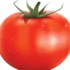 andrik_tr07