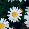 all_abt_myfavthings