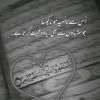 nasiralishah928