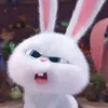 emchaulachloe