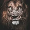 yury_yakushev