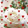 md.joynal7659