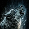 wolf_king70