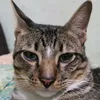 mengmeng0058
