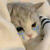 glxsy_kaa3