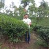 abdur.rahaman0059