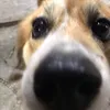 _bedennnnn_