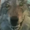 toiladattoibingu