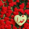 edris.mangur