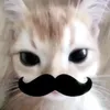 pprthiyen