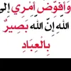 nasimaelhasnauigm