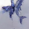 nh.dng5617