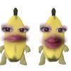 syelyty