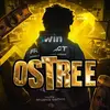 ostree02