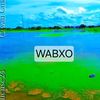 AARKA WABXO