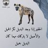 user3519839061530