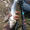 fishingible