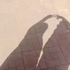 user3805220815815