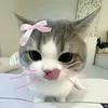 qua.nghun.g97