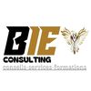 bieconsulting