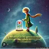 sassolino_01