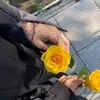l.vkl_20