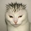 gmorpgmorpgmorp