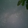 letienbu1