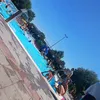 m_petkovv2