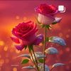 santoshkewat6235