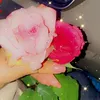 qs_602