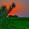 fahad.safdar42