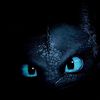 httydforlife5