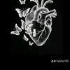 user3115148800210