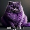 benchitaya.susna