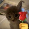 _syahid21