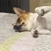 oscarlujan40