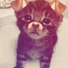 ndiowh_keicb