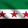 mohamad__allush