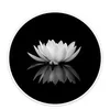 nguyn.trung.dng047