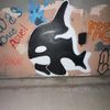 barktree21