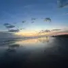 edwardviera06