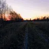 timur_720