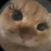 its.me.ra3ee