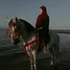 salmabr40