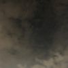 ZXR_sex