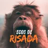 ecosderisada
