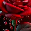 used_name007